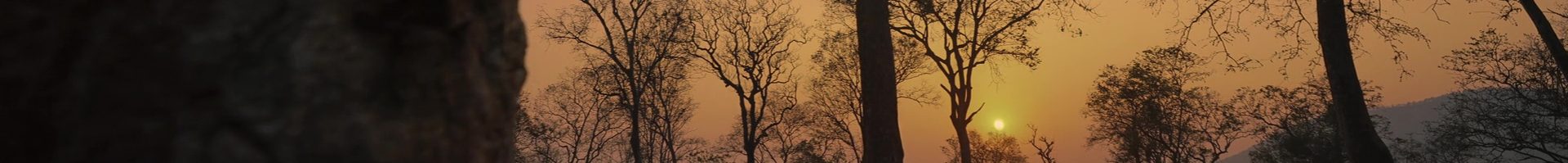cropped-snap-2023-03-14-20h18m39s513.jpg